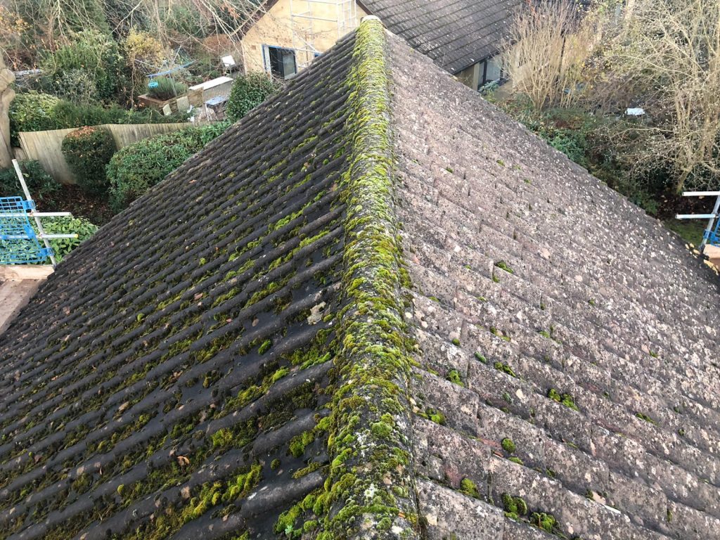 Bexhill Moss Removal Before